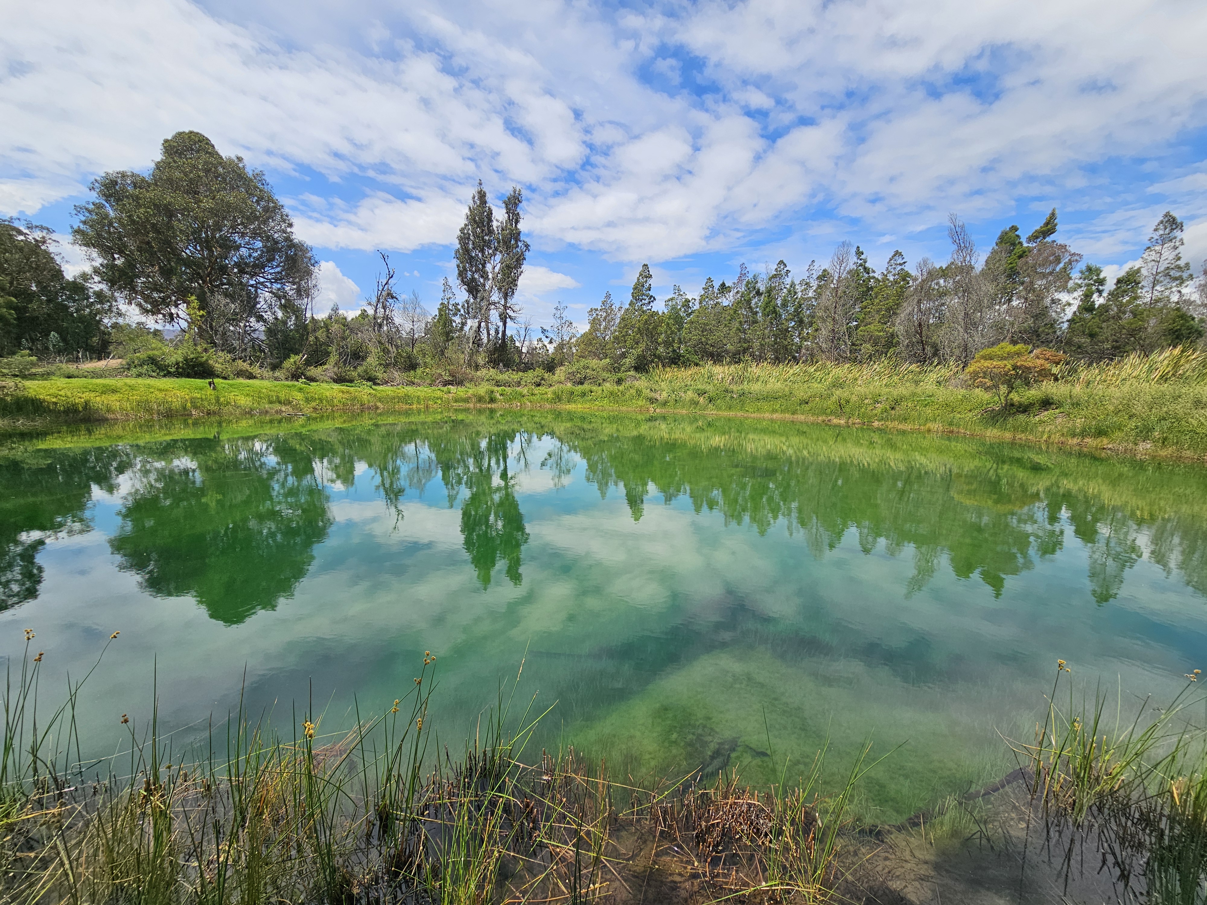 Pozos Azules 1