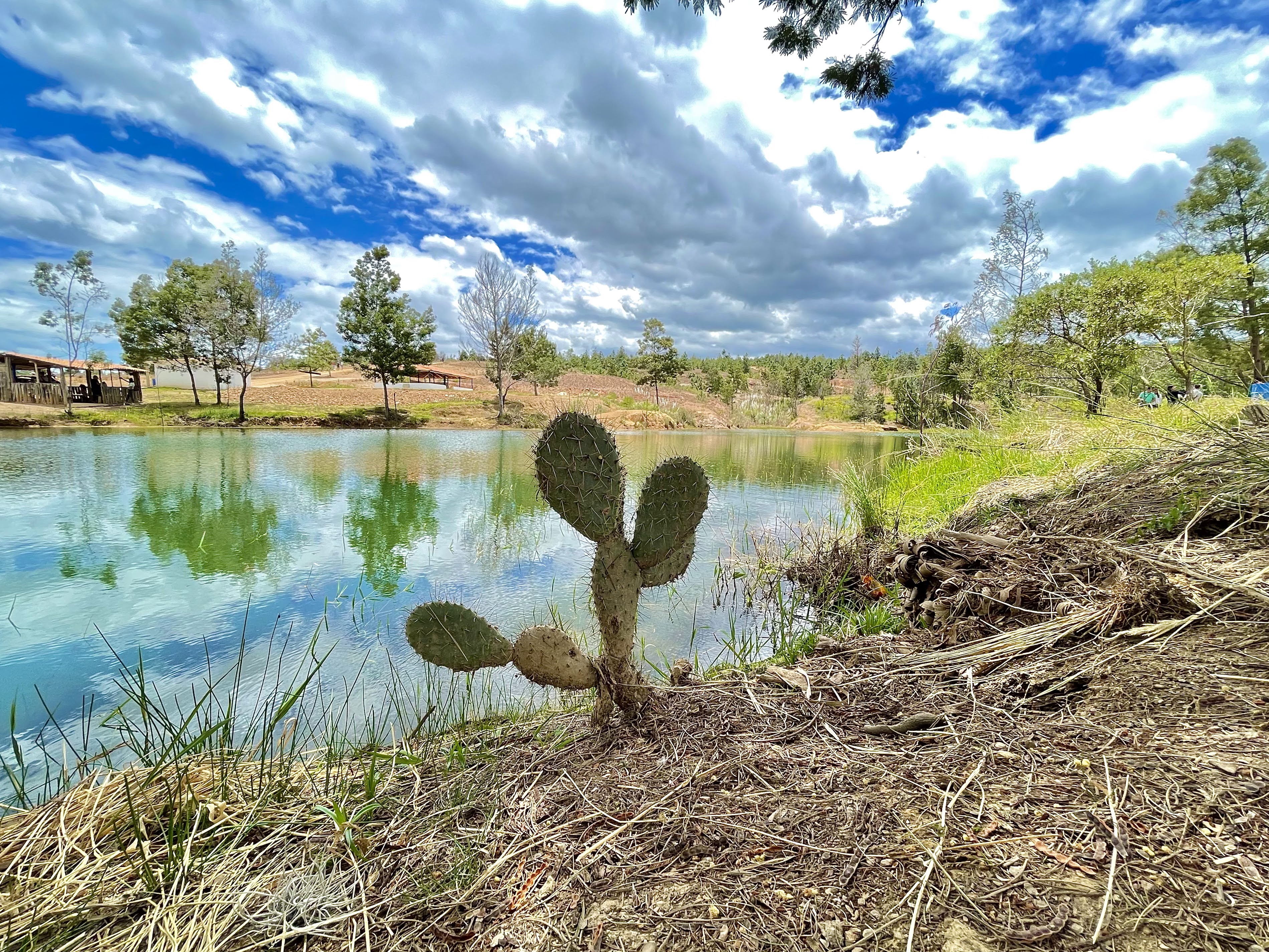 Pozos Azules 17