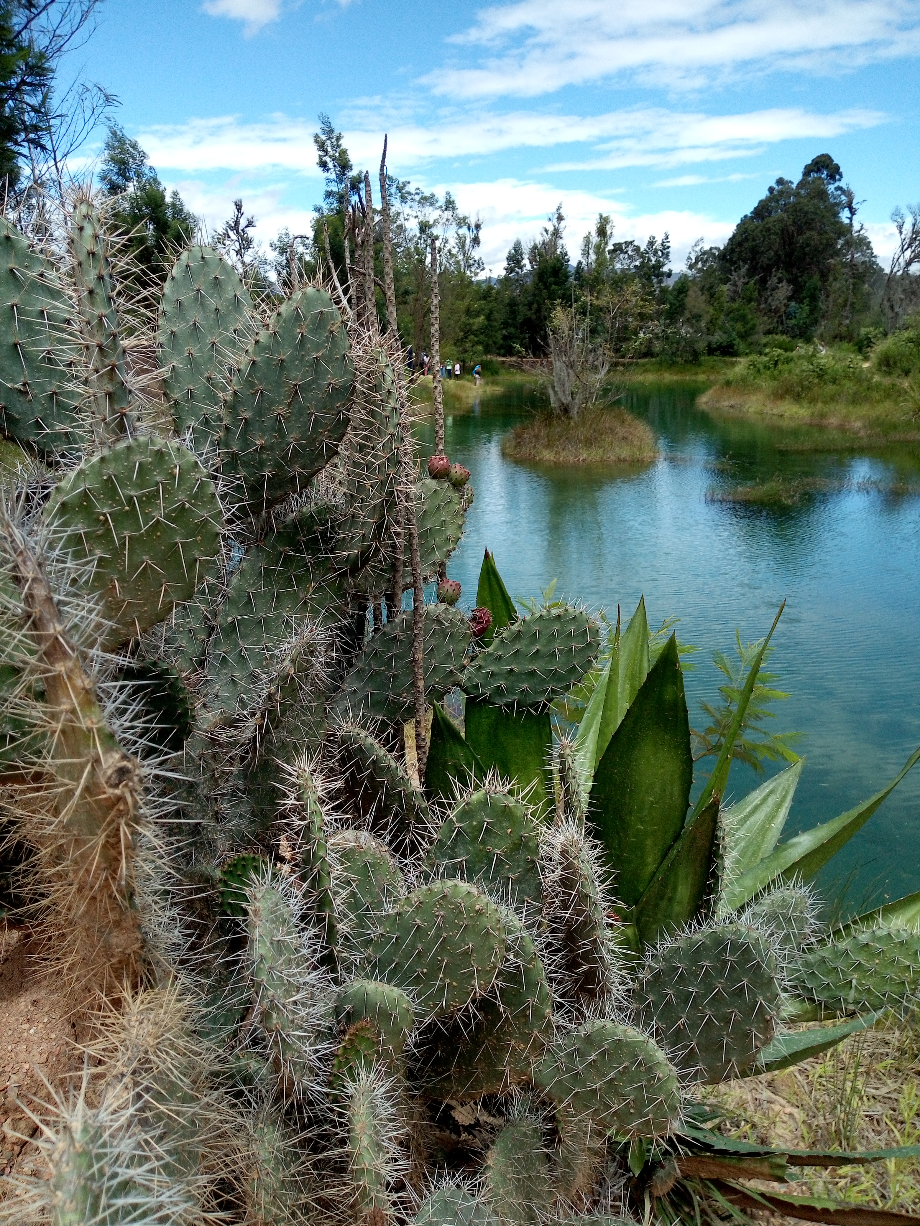 Pozos Azules 2