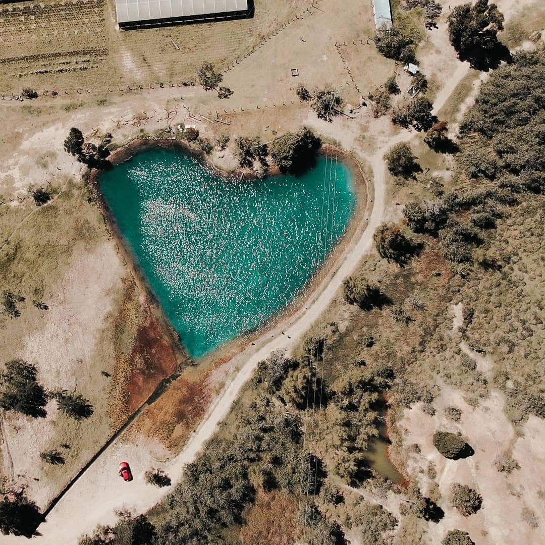 Pozos Azules 5
